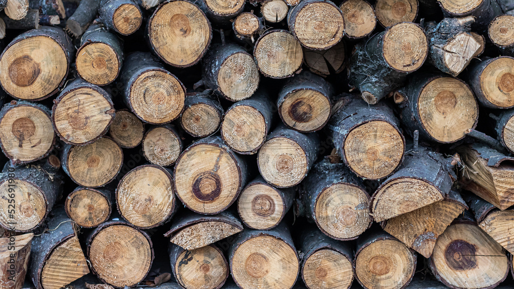 abstract background of wooden logs abstract background of wooden logs