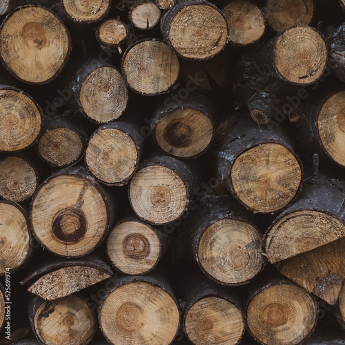 background of wooden logs