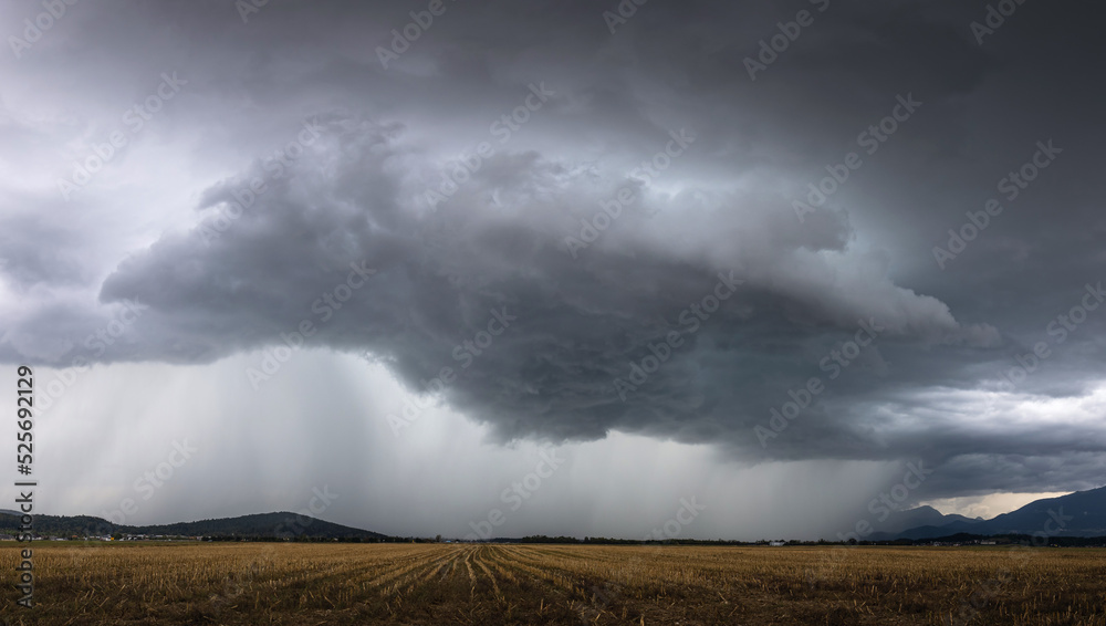 Destructive supercell storm bringing rain and wind over the farm field - obrazy, fototapety, plakaty 