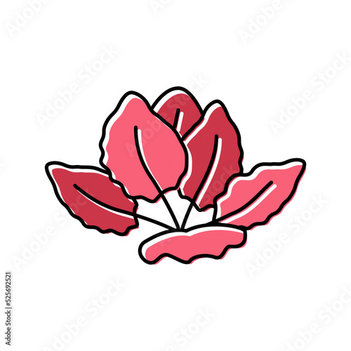 tiger lotus color icon vector illustration
