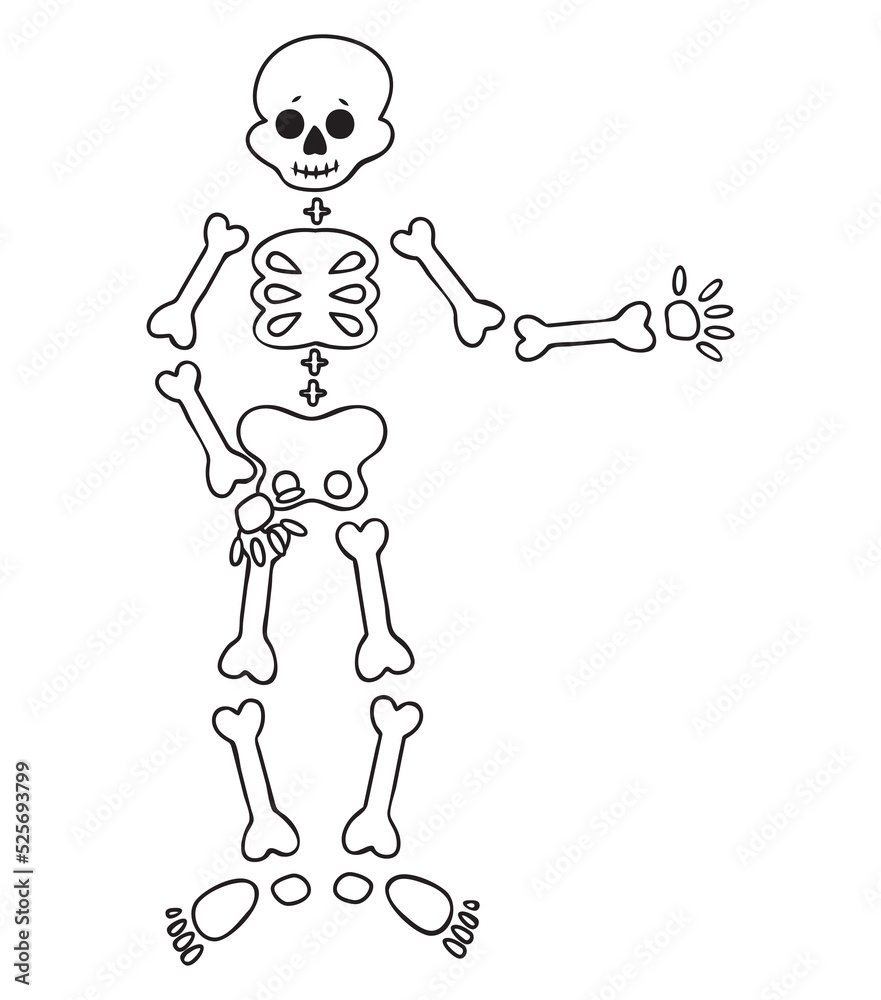 Funny cartoon dancing skeleton. Cute graphics for Halloween. Resume  isolated illustration on white background. Stock Vector | Adobe Stock