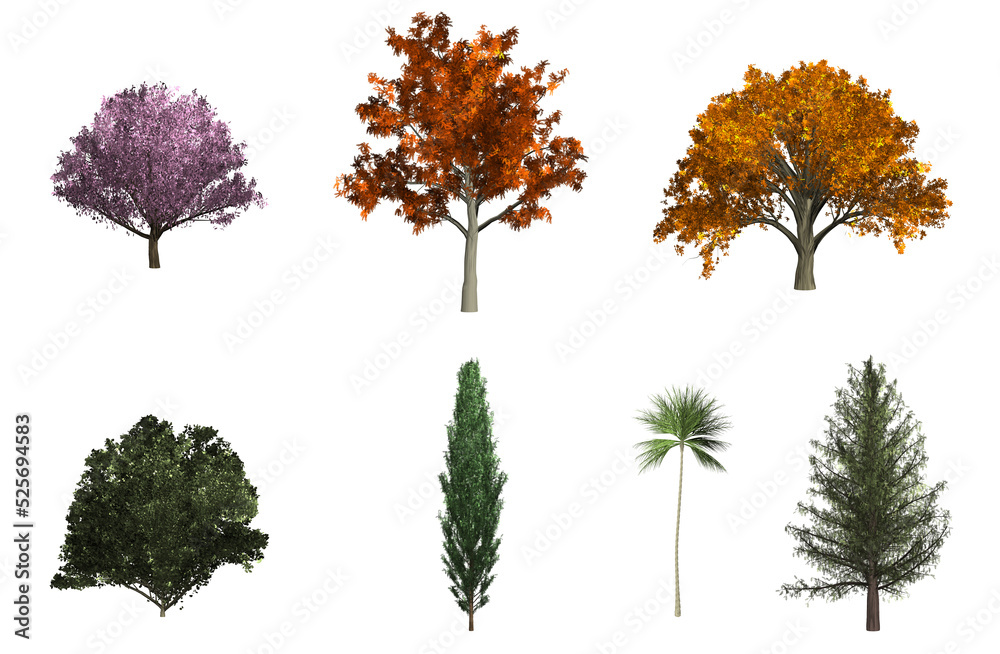 Fototapeta premium Trees 2