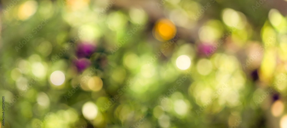 Obraz premium Natural colored bokeh in the sun. Abstract bokeh