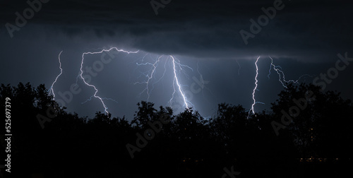 Several lightning bolts strike simultaneously behind a row of trees during a thunderstorm at night