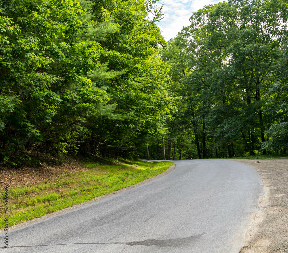 A winding road through the woods in Brokenstraw Township, Pennsylvania, USA on a sunny summer day