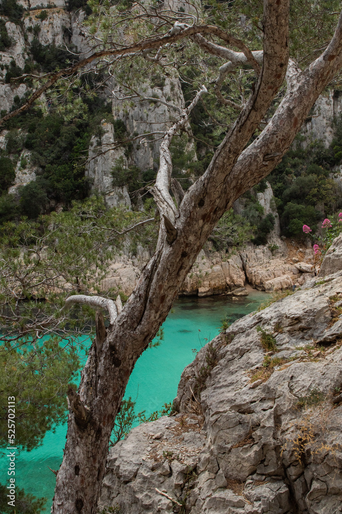 France French Calanque Cassis Mediterranean Fjords Cliff Hiking Beach 