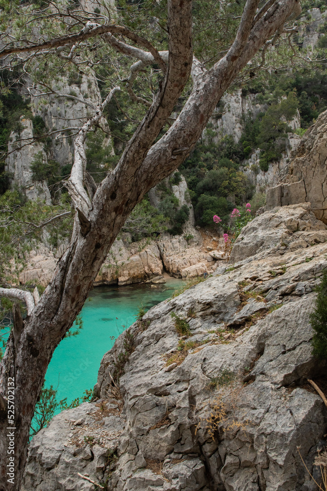 France French Calanque Cassis Mediterranean Fjords Cliff Hiking Beach 