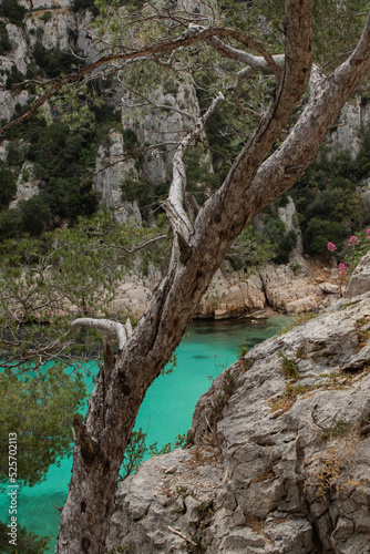 France French Calanque Cassis Mediterranean Fjords Cliff Hiking Beach  © James