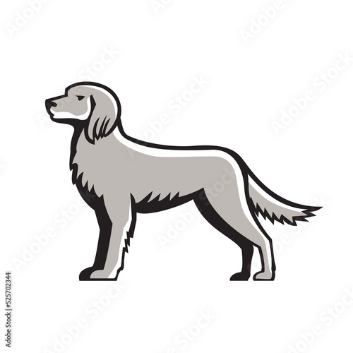 English Setter Standing Side View Retro