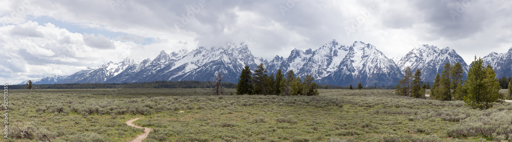 Trees, Land and Mountains in American Landscape. Cloudy Spring Season. Grand Teton National Park. Wyoming, United States. Nature Background Panorama