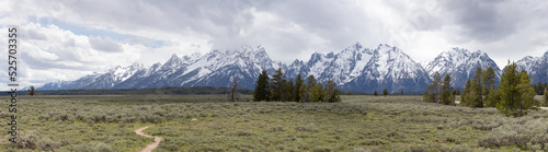 Trees, Land and Mountains in American Landscape. Cloudy Spring Season. Grand Teton National Park. Wyoming, United States. Nature Background Panorama
