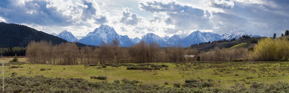 Trees, Land and Mountains in American Landscape. Spring Season. Grand Teton National Park. Wyoming, United States of America. Nature Background Panorama