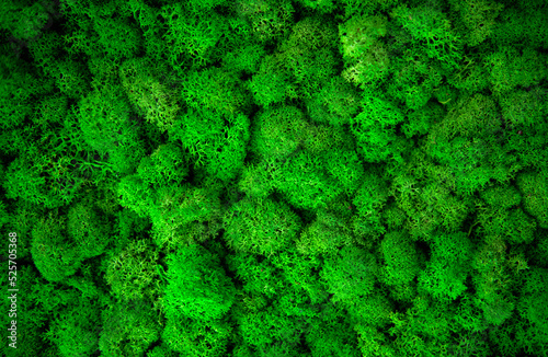 Green painted moss yagel for interior decoration