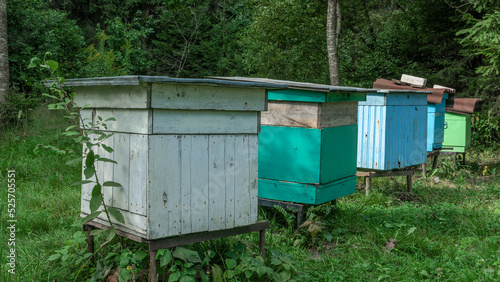 Wooden beehives and bees in apiary in the forest. Beekeeping or apiculture concepts.