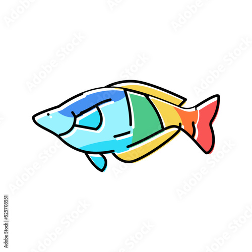 rainbowfish aquarium fish color icon vector illustration