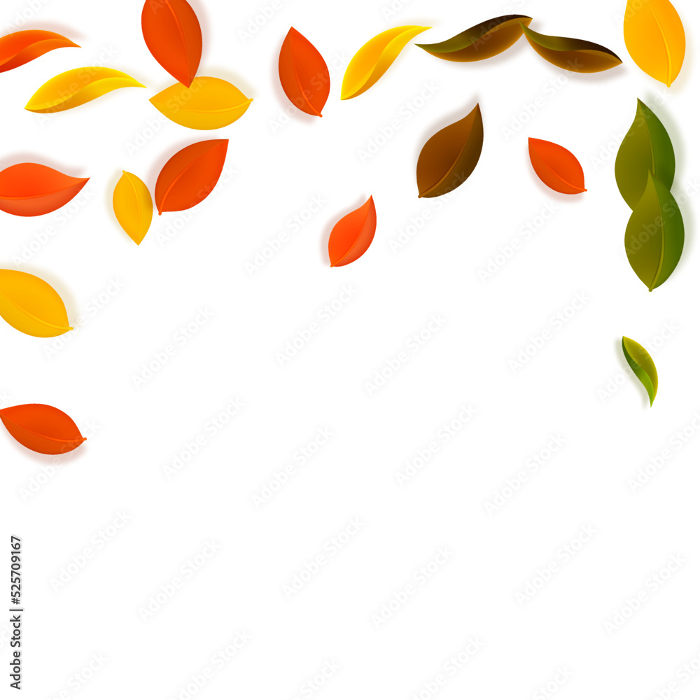 Falling autumn leaves. Red, yellow, green, brown neat leaves flying. Falling rain colorful foliage on graceful sunset background. Authentic back to school sale. Falling autumn leaves. Red, yellow, green, brown neat leaves flying. Falling rain colorful foliage on graceful sunset background. Authentic back to school sale.