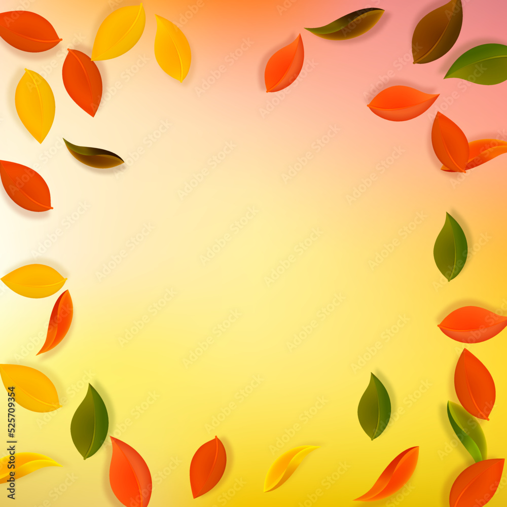 Falling autumn leaves. Red, yellow, green, brown neat leaves flying. Vignette colorful foliage on exotic white background. Brilliant back to school sale. Falling autumn leaves. Red, yellow, green, brown neat leaves flying. Vignette colorful foliage on exotic white background. Brilliant back to school sale.