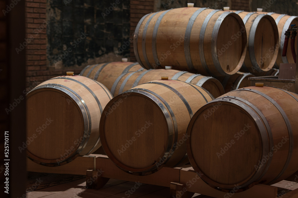 Underground dark cool arched wine cellar, storage room with large wooden barrels, placed in a line, deep focus.