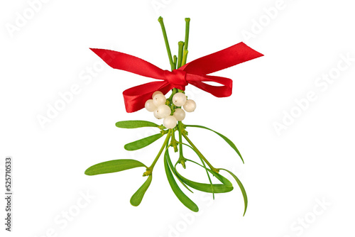 Fotótapéta Mistletoe bunch with white berries and green leaves tied with red satin bow