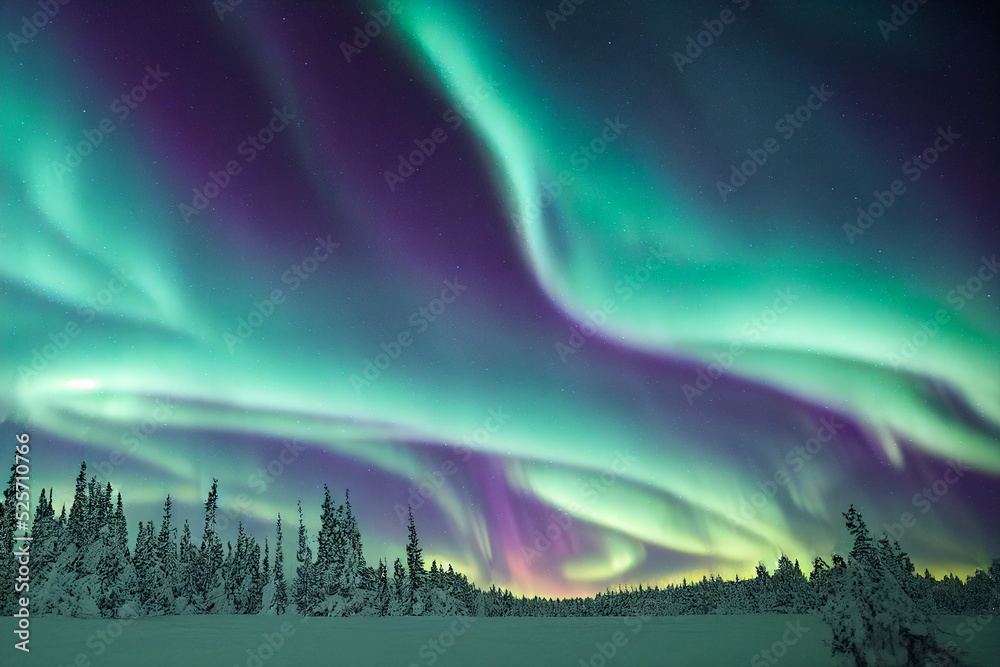 Northern Lights over the forest. Aurora borealis with starry in the night sky. Fantastic Winter Epic Magical Landscape - obrazy, fototapety, plakaty 