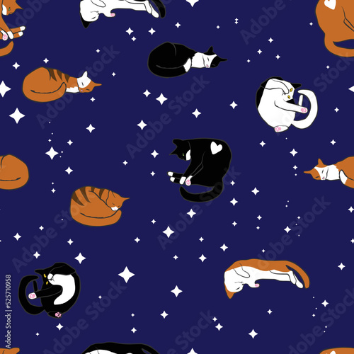 Colorful cats sleeping among the stars seamless vector pattern