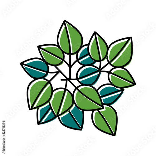 poison ivy color icon vector illustration photo