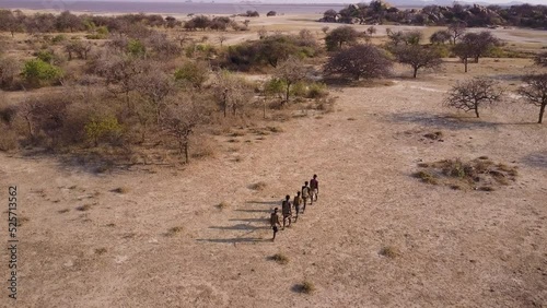 Aerial. Group of Hadza hunter-gatherer tribesmen out hunting with bow and arrows in a drought stricken landscape due to climate change.Tanzania photo