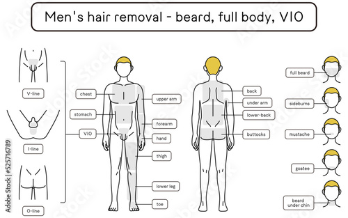 Men's Hair Removal, Beard, Whole Body, VIO Area Guide, Naked Figure