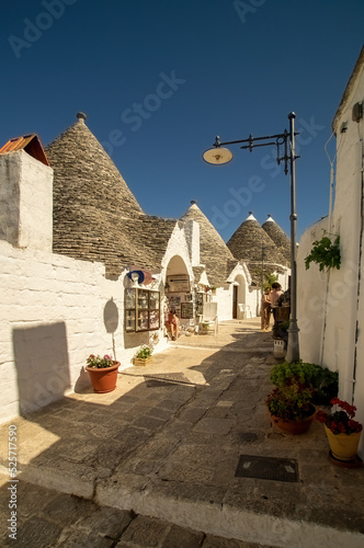 houses with cone roof, white walls with lime and stone on the roof, flower pots and plants, clear skies, harmony and simplicity
