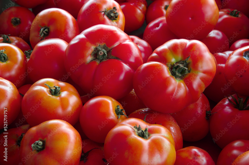 red tomatoes at the market organic fruits vegetarian food