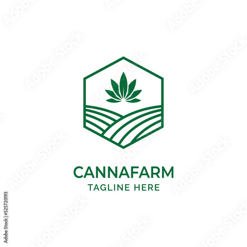 Organic Agriculture Cannabis Hemp Marijuana Farm Logo Design Vector Illustration
