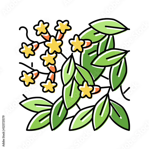 bignonia capreolata color icon vector illustration photo