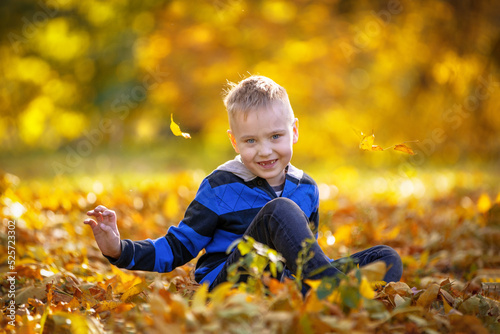 Cute little boy in striped sweatshirt poses and smiles  sitting on the ground on yellowed fallen leaves in beautiful autumn park. Pleasant walk on warm sunny day during school holidays.