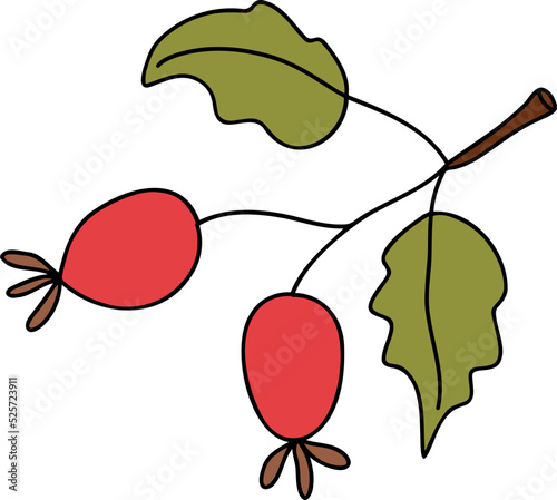 Autumn Holly berries, Autumn or Fall Animal, illustration