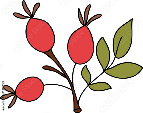Autumn Holly berries, Autumn or Fall Animal, illustration