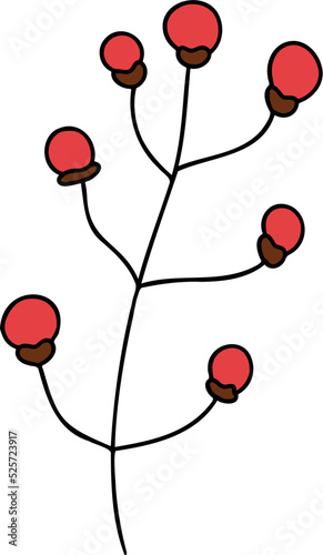 Autumn Holly berries, Autumn or Fall Animal, illustration