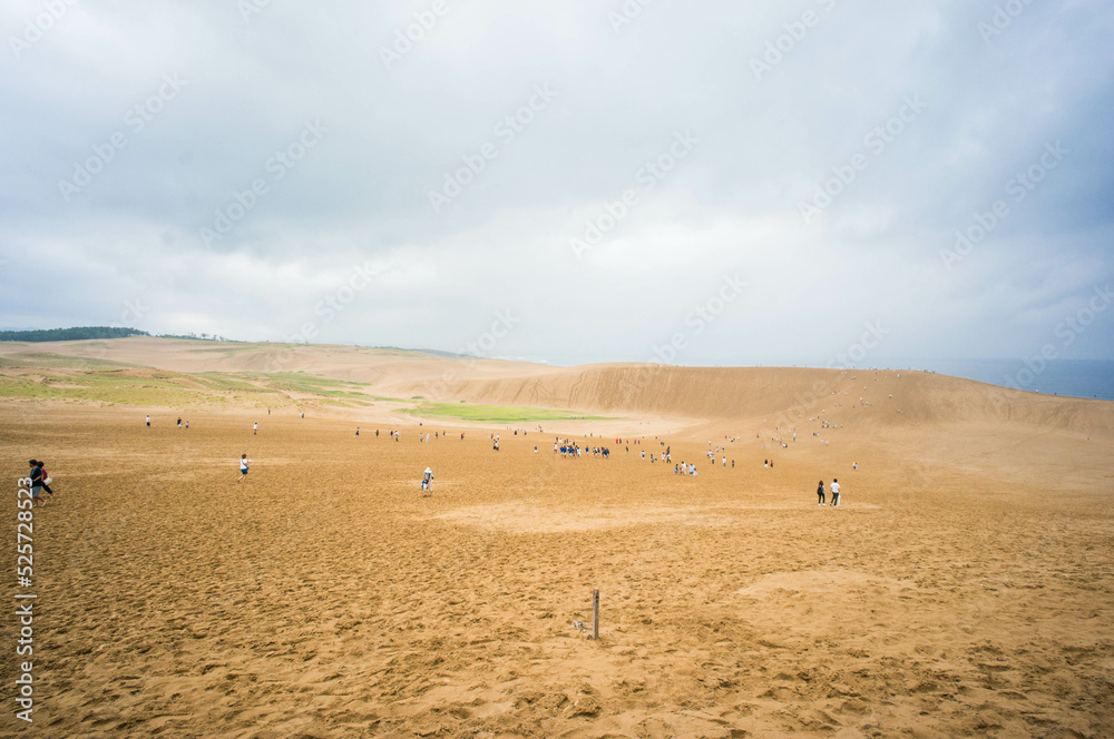 Obraz premium 雨が降り出しそうな、曇天の鳥取砂丘