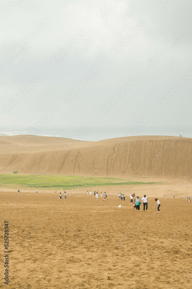 Obraz premium 雨が降り出しそうな、曇天の鳥取砂丘