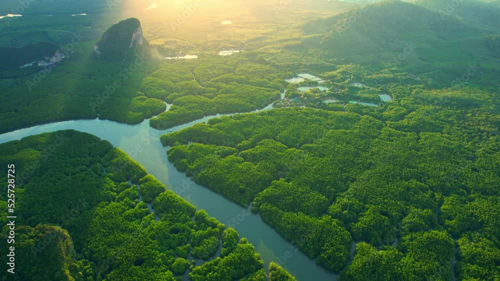 Drone flying over tropical forest, beautiful mangroves and winding river in sunset time. (Samed Nang Chee), Phang Nga, Thailand. green nature background. tropical seas in southeast asia. 4k drone
