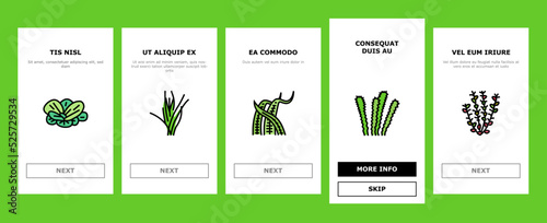 Aquatic Seaweed Natural Plant onboarding icons set vector