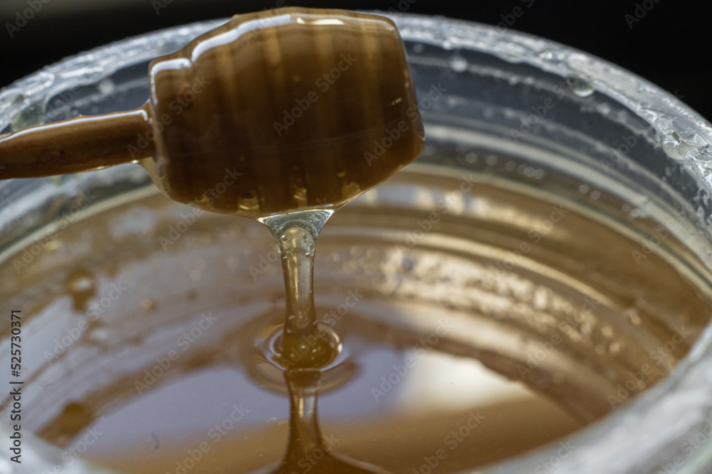 closeup natural honey spread with stick without people closeup natural honey spread with stick without people