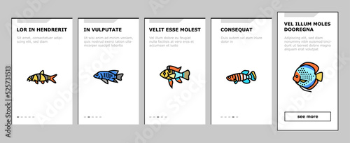 Aquarium Fish Tropical Animal onboarding icons set vector