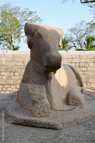 Monolithic Bull sculpture carved in the historic site at Mahabalipuram  Tamilnadu. Rock relief Indian art of Bull statue carved in the monolith granite rock in India.