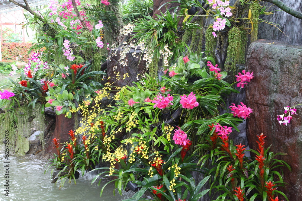 Landscaped flower garden
