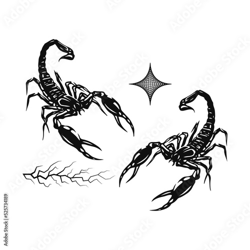 two black scorpions vector illustration