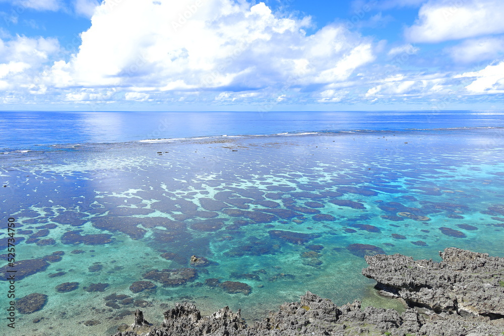 青い海に珊瑚礁群がある風景