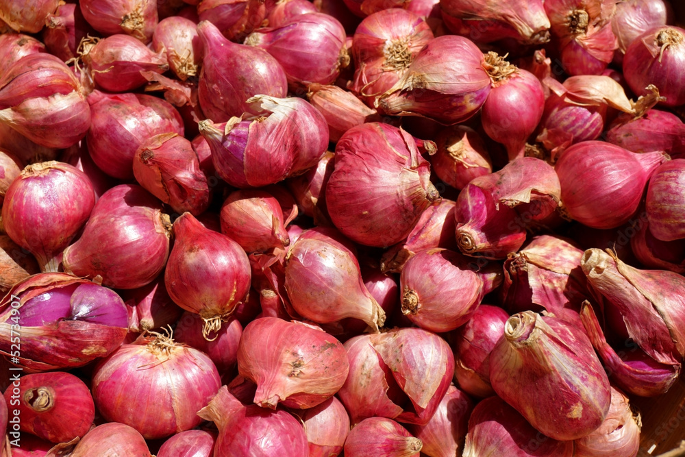 selective focus of shallots dried in the sun  
