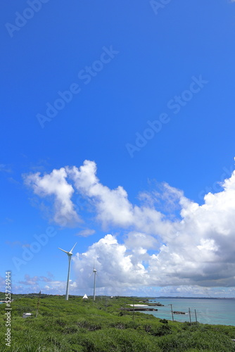 Wallpaper Mural 岬に風車がある風景 Torontodigital.ca