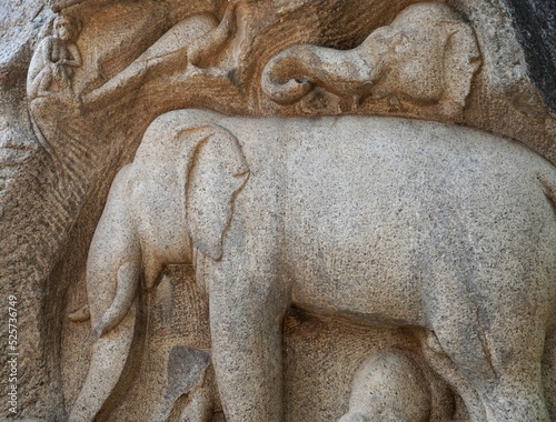 Bas relief rock cut sculpture representing a group of elephants, monkey and peacock carved on the monolithic rocks in Mahabalipuram, Tamilnadu. Ancient historical animal sculptures in rock cut temple.