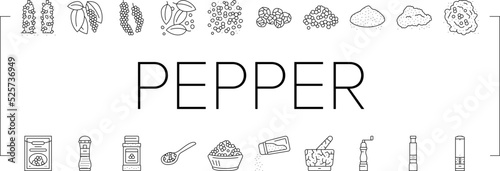 Black Pepper Aromatic Hot Spice Icons Set Vector